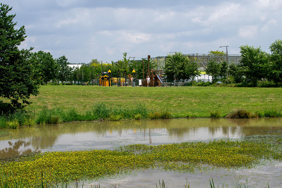 le bassin de Monges-Croix du Sud à Cornebarrieu