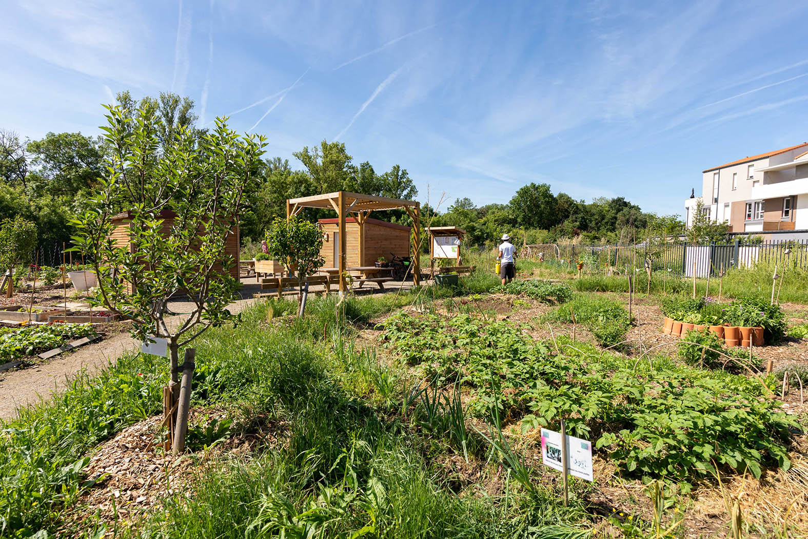 Jardins partagés st-martin-du-touch