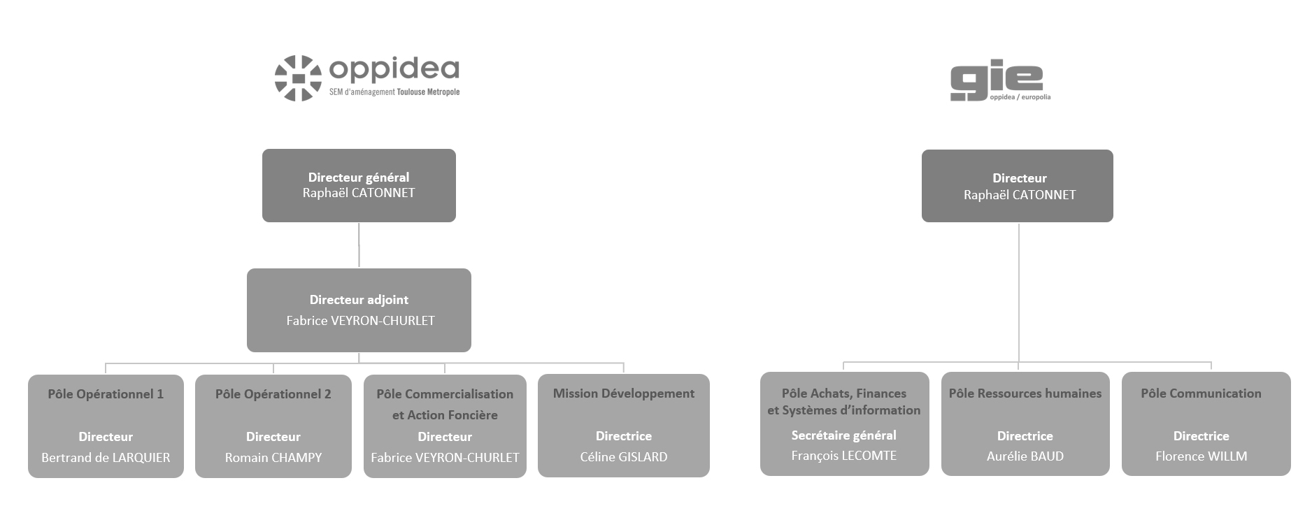 Organisation Oppidea - Comité direction